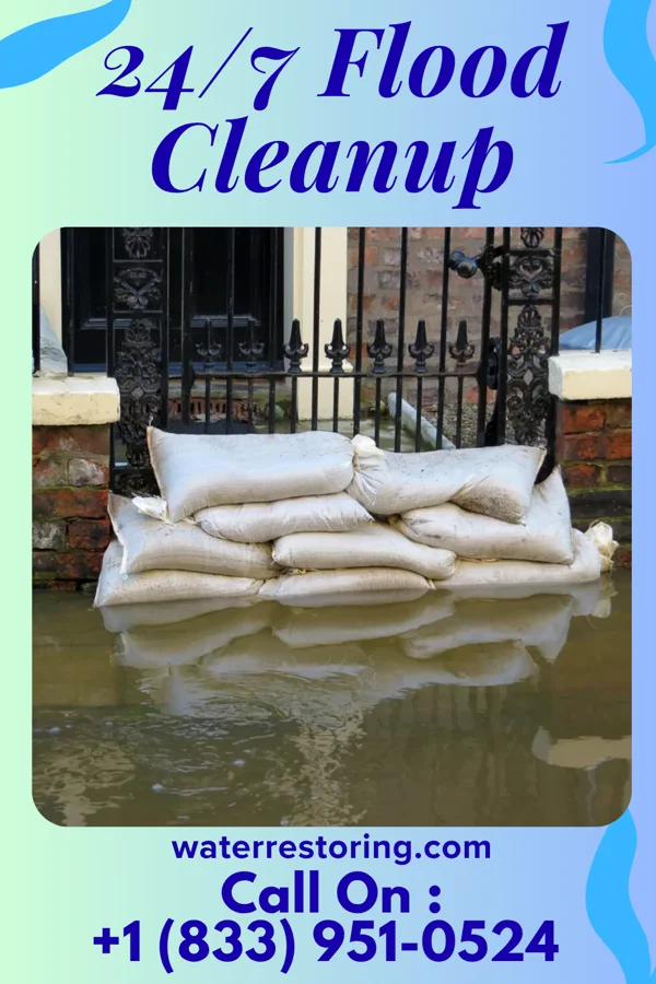 24/7 Flood Cleanup in Bald Head Island, NC