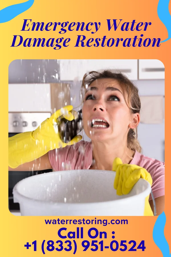 Emergency Water Damage Restoration in Bald Head Island, NC