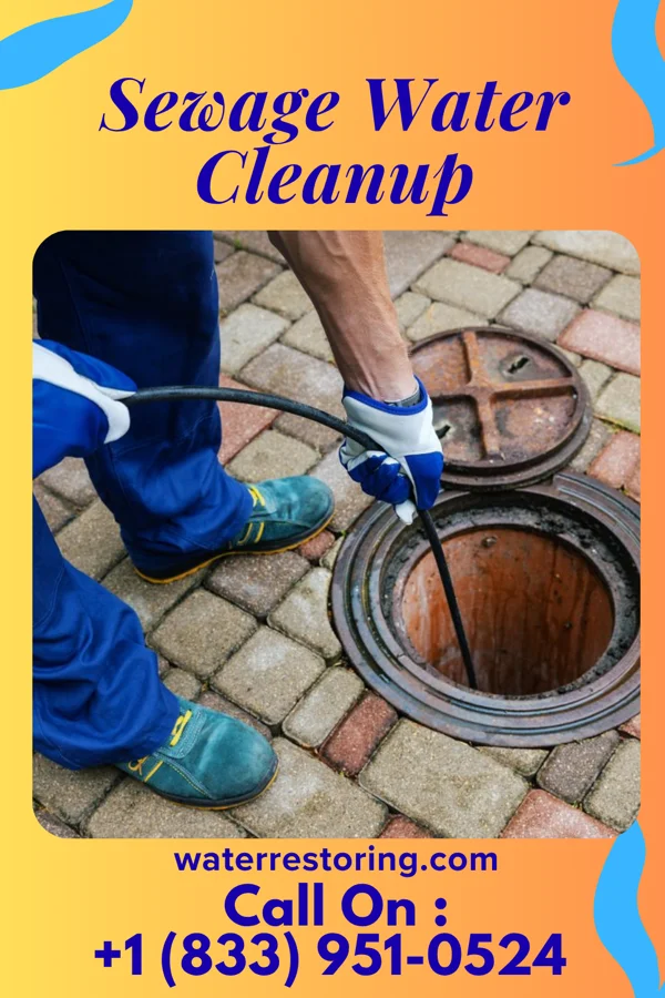 Sewage Water Cleanup in Bald Head Island, NC